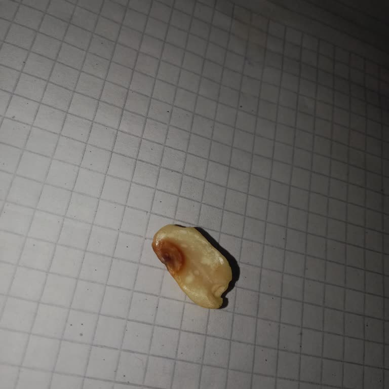 Tadım Karışık Kuruyemiş Klasik