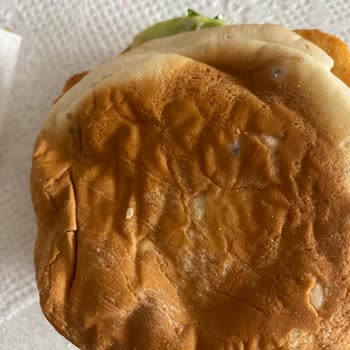 Burger King Hamburger Küflü Ekmek