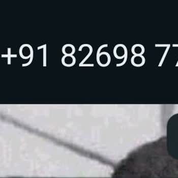 WhatsApp Şikayet, Farklı Numaralardan Mesaj