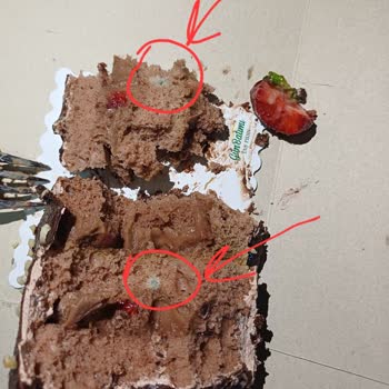 Günbatımı Taşfırın Küflü Pasta