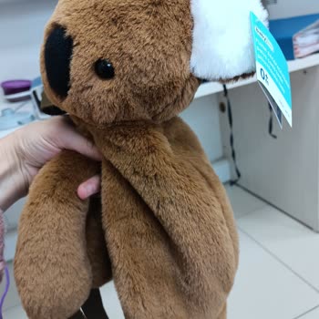 Pazarama Yanlış Ürün Gönderimi, Doğru Ürün İçin Fiyat Farkı İstemesi