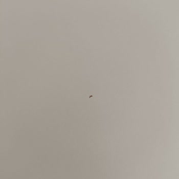 Doğtaş Mobilya Düğün Öncesi Tüm Mobilyalarımı Kırılmış Olarak Yolladı