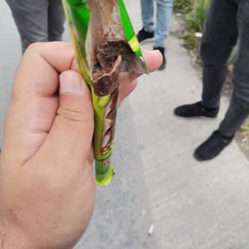 Eti Gıda Eti Çürümüş Erimiş Ve Isırılmış Ürün