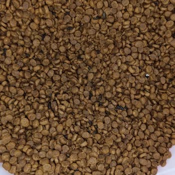 Sultangazi Belediyesi Fare Dışkısı. Bayat Ve Mikroplu Mamalar.