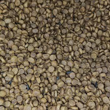 Sultangazi Belediyesi Fare Dışkısı. Bayat Ve Mikroplu Mamalar.