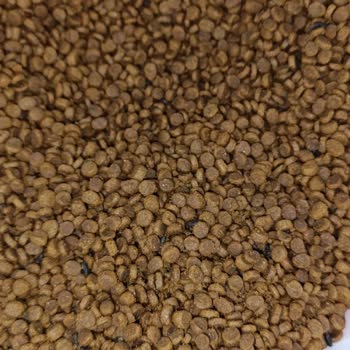 Sultangazi Belediyesi Fare Dışkısı. Bayat Ve Mikroplu Mamalar.