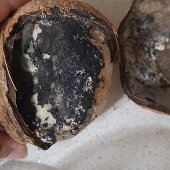 Fix Gross Çürük Meyve Satıyor İnsan Sağlığını Hiçe Sayıyor