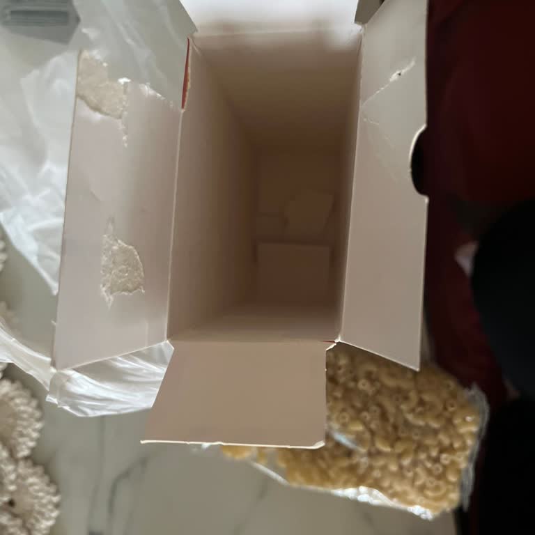 Banetti Mac & Cheese Sos Yok