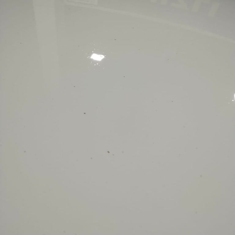 Renault Clio 5 2021 Beyaz Boyada Paslanma.