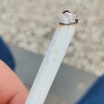 Sararmış Ve Odun Parçası Çıkan Marlboro