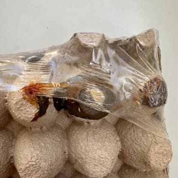 Migros Sanal Market Kurtlanmış Ürün Gönderip İade Kabul Etmiyor.