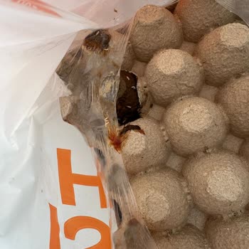 Migros Sanal Market Kurtlanmış Ürün Gönderip İade Kabul Etmiyor.