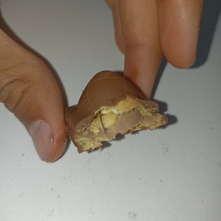 Biskot Bisküvi Karmen İçinden Kıl Çıktı!