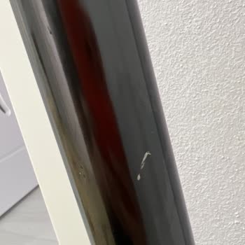 Yeni Dyson Süpürgem Hemen Çizildi!