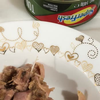 Superfresh Ton Balığındaki Beklenmedik Misafir!