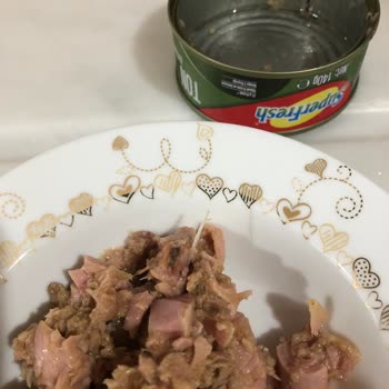 Superfresh Ton Balığındaki Beklenmedik Misafir!