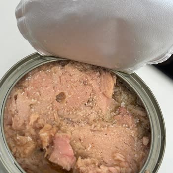 Dardanel Ton Bozuk Larvalı Ürün