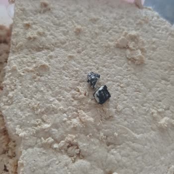 Torku Helvadan Taş Çıktı