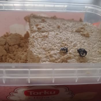 Torku Helvadan Taş Çıktı