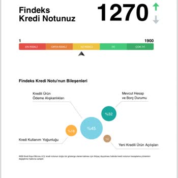 Findeks'in Puan Düşürmesi