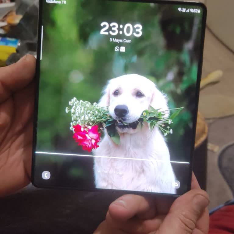 Samsung Z Fold 5 Ekranda Piksel Çizgi Hatası