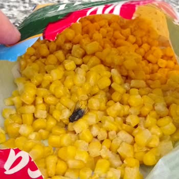 A101 Çokça Dondurulmuş Mısır