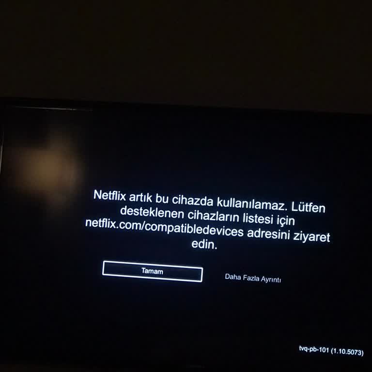 Netflix Artık Bu Cihazda Kullanılamaz