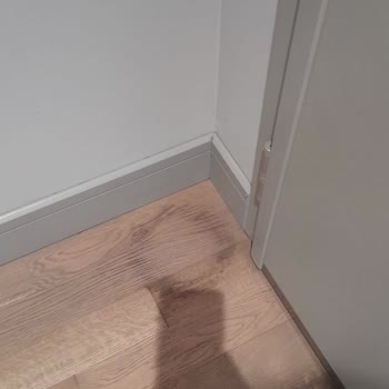 Yemek Sepeti Patlak Damacana Gönderdi