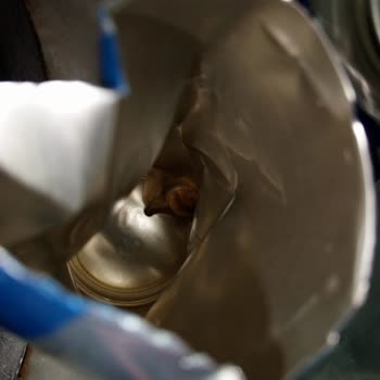 Red Bull İçinden Bir Şey Çıktı