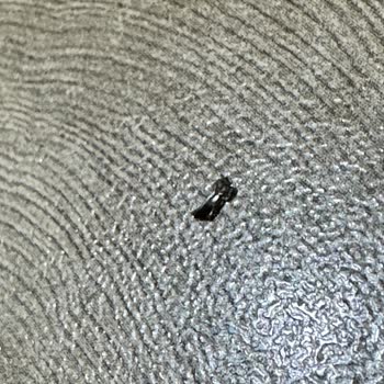 BİM Rulo Gofret Xroll