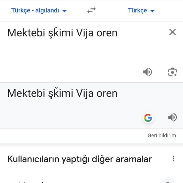 Google Translate Bölümüne Bir Talep Ve Rica Bildirisi