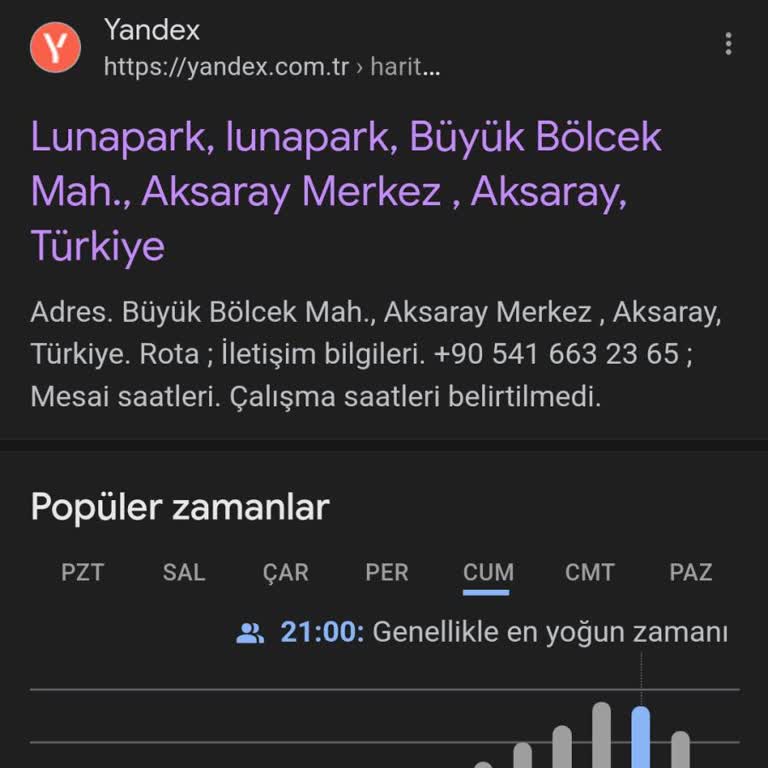 Google Yardim Edin Lütfen