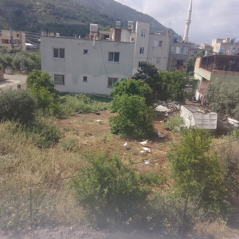 Çevre, Şehircilik Ve İklim Değişikliği Bakanlığı Ses Ve Gürültü
