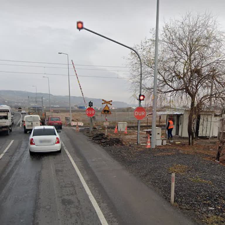 TCDD Kayseri'de Demiryolu Bariyer Noktasındaki Köpekler