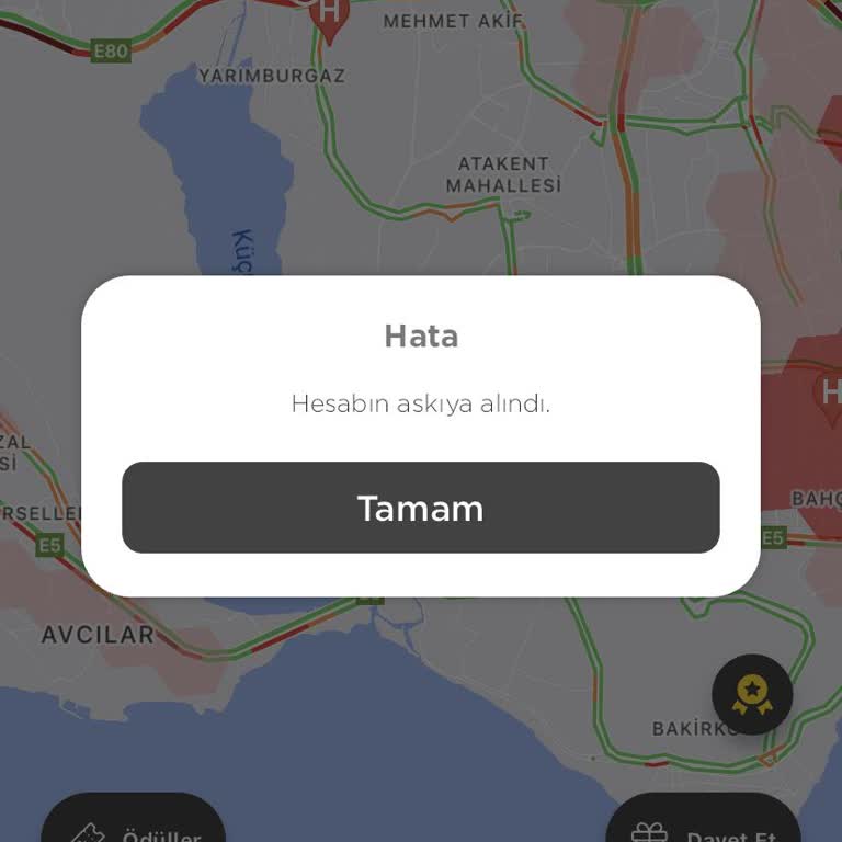 Martı Tag Hesabım Askıya Alındı