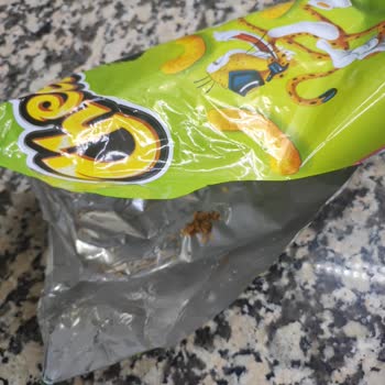 Cheetos Cinsinden Bir Cisim Çıkması