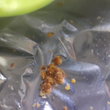 Cheetos Cinsinden Bir Cisim Çıkması