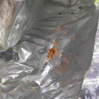 Cheetos Cinsinden Bir Cisim Çıkması