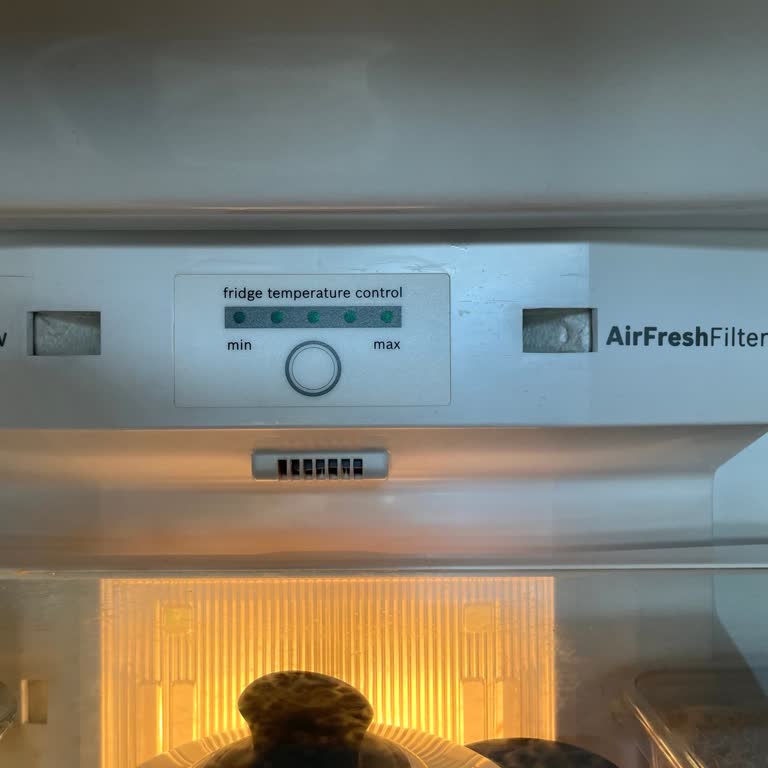 Bosch Marka Buzdolabı Sorunu