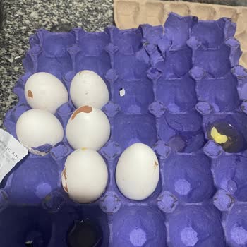 Şok Market Yumurta Şikayeti