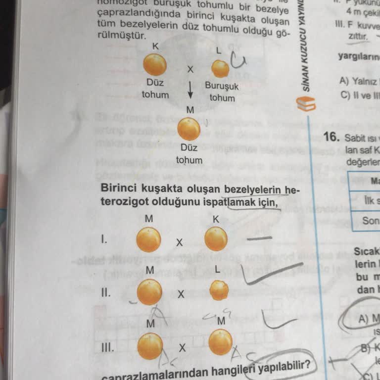 Sinan Kuzucu Yayınları Hatalı Soru Var!