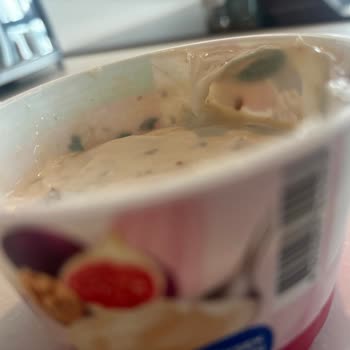 Sek Quark İncir Ceviz Küf