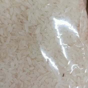 File Market Pirinç İçinde Gezen Böcekler