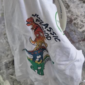 LCW Yırtık Poşetlerde Buruşuk Ürünler Göndermişler!