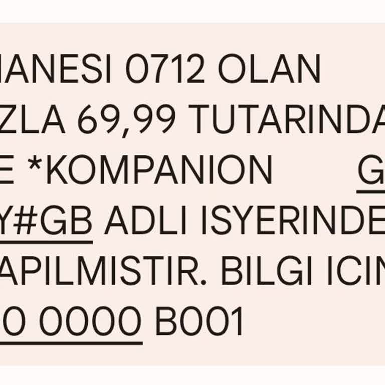 Kompanion Her Ay Para Çekimi