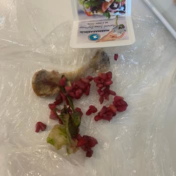 IKEA İle Roka Salatası Şikayetim