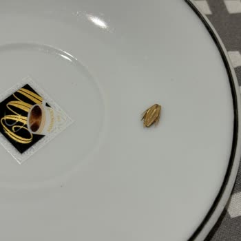 Eti Gıda Eti Lifalif Kılçık Sorunu