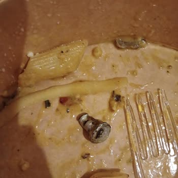 Makarnam Menüsü İçinden Vida Çıktı