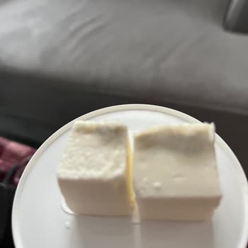 Pınar Et ve Süt Süzme Peynirde Küflenme Sorunu