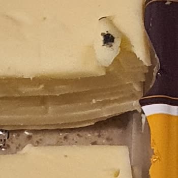 A101 Sinekli Kaşar Aldık